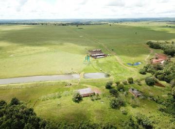 Rural · 1369ha · Fazenda a venda em Primavera do Leste - MT