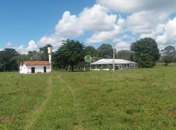 Rural · Linda Fazenda/MT
