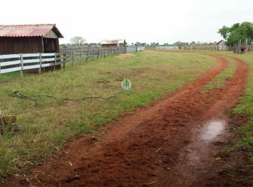 Rural · Linda Fazenda à Venda em Barra do Garças – MT