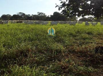 Rural · 737m² · Fazenda à venda Coxim/MS