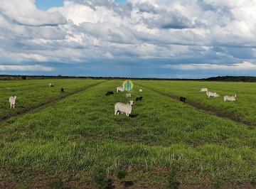 Rural · Ótima Fazenda/MS