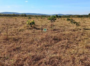 Rural · Bela Fazenda/MT