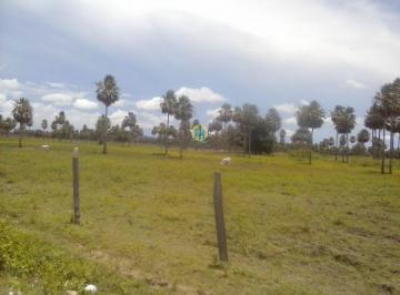 Rural · Fazenda Espetacular/MS