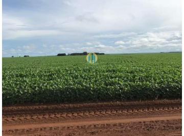 Rural · 3400ha · Maravilhosa Fazenda a venda em Primavera do Leste - MT