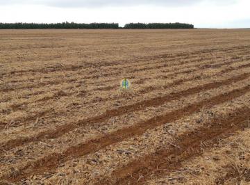 Rural · 17531m² · Fazenda a venda em Mato Grosso