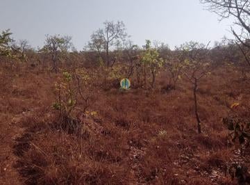 Rural · 38000m² · Fazenda Incrível/MT