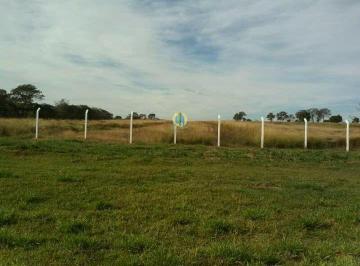 Rural · 100m² · Fazenda Maravilhosa/GO