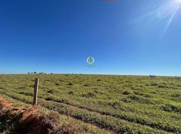 Rural · 6385m² · Fazenda à venda Campo Grande/MS