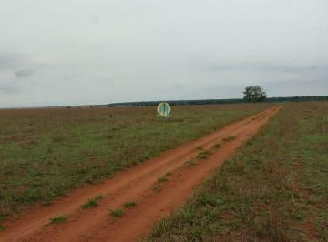 Rural · Fazenda Belíssima/MT