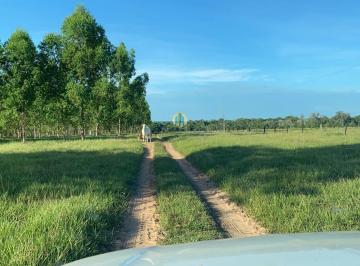 Rural · 401ha · Fazenda a venda na região de Ribeirão Cascalheira - MT