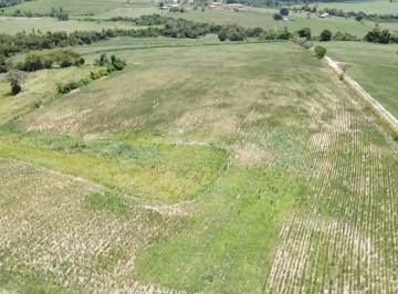 Rural , Laranjal Paulista · Sitio com 2,4 alqueires somente terra, com boa topografia