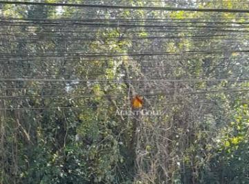 eec881f6e0e6cb4b87a7b53c6848f80a1e55e651 · Terreno à venda, 7400 m² por R$ 10.999.999,99 - Jacarepaguá - Rio de Janeiro/RJ