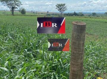 4a3080cf78d69f88813c34637ff8370e82e2e1d1 · Fazenda em Eldorado - MS