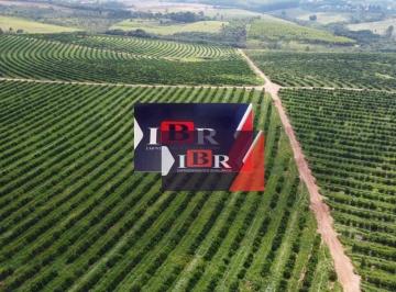 c14fe18b1e5844d69f6ef7bdfcef5a0ddfa7241e · Fazenda em Avaré - SP