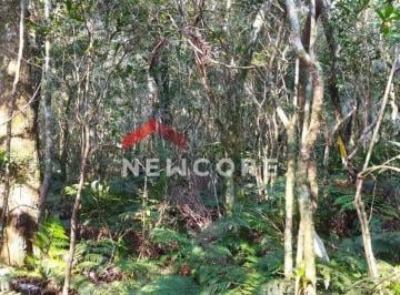 Terreno · 400m² · Lote em Quadra 8 - Alpes - São Francisco de Paula/RS