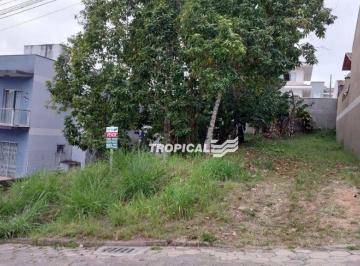 e60564091240c2a842b8569fd632b1fe36348502 · Terreno à venda, 420 m² por R$ 420.000,00 - Velha Central - Blumenau/SC