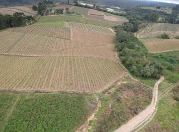 Foto 01 · SÍTIO A VENDA EM SÃO MIGUEL ARCANJO-SP ??   Área Total 9,77 Alqueires   Aproveitamento 8 Alqueires  
