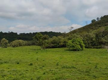 Rural de 4 quartos, Cachoeiras de Macacu · Fazenda em Cachoeiras de Macacu-RJ