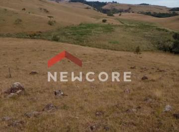 Terreno · 2380000m² · Lote em Est Lageado Grande - Lageado Grande - São Francisco de Paula/RS