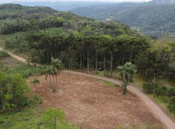 936470.jpg · Sitio - Bairro Linha Araripe
