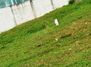 Foto 1 · Valville 1