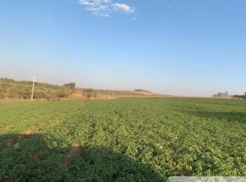 Foto 01 · FAZENDA À VENDA NA REGIÃO DE CASA BRANCA/SP. COM 120 ALQUEIRES DE ÁREA TOTAL, COM CANA, PASTO E BENF