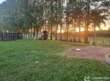 Foto 01 · Fazenda, Haras, Miguelopolis, MG