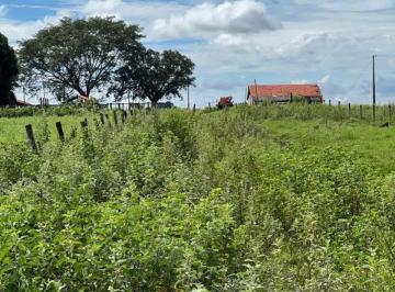 Foto 01 · Fazenda, Fazenda, Paranaiguara, GO
