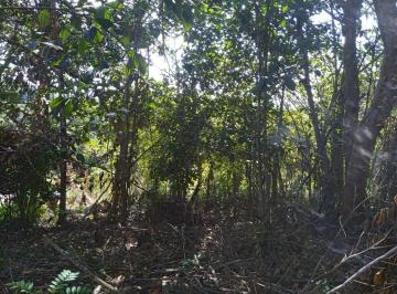 Terreno , Itacaré · Lote 200m2, loteamento com ótimas construções, passível de financiamento