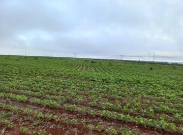 Rural , Planaltina · Fazenda DF 205 - Para Soja e Cultura em Geral - Trevo para Formosa