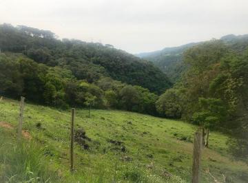 Rural · 34405m² · Rurais à venda - em Barracão