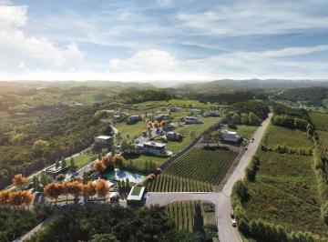 Terreno · 800m² · Terreno à venda - no Vale dos Vinhedos