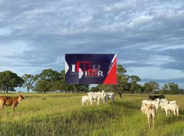 74fe61d24668760480f290b64e9ad25cd6210762 · Fazenda em Inocência - MS