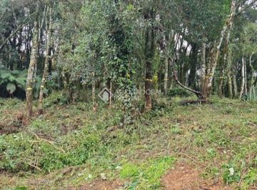 FOTO 01 · Terreno no bairro Leodoro De Azevedo