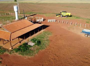 Foto 01 · FAZENDA A VENDA NA REGIÃO DE PRESIDENTE PRUDENTE-SP ??    EXCELENTE OPORTUNIDADE DE NEGÓCIO E INVEST