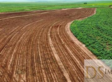 Foto 01 · FAZENDA DE 223 ALQUEIRES EM PRESIDENTE EPITÁCIO-SP: OPORTUNIDADE DE INVESTIMENTO ÚNICA!