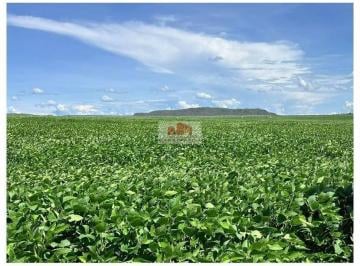 83f2a49c86d1f9148de7fdbf87bc794b.jpg · Fazenda distante 90km de Luis Eduardo Magalhães-BA