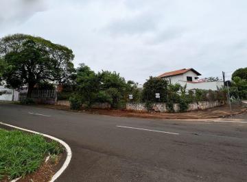 Comercial · Terreno - Dom Pedro