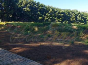 Terreno · 1000m² · Terreno à venda no bairro Centro - Joanópolis/SP