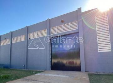 0 · galpão para aluguel em Centro Industrial de Limeira - CIL
