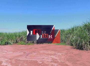 52f92a0fbf8e083b9499e09cafdaa6e7d5a0e267 · Fazenda em Limeira - SP