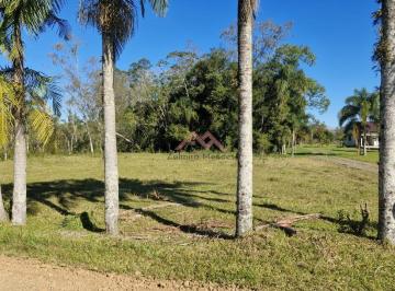 Sítio palmeiras · Sítio a venda no bairro Santa Clara em Forquilhinha mais de 11 mil metros²