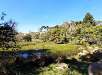 826781.jpg · Terreno - Bairro Pórtico