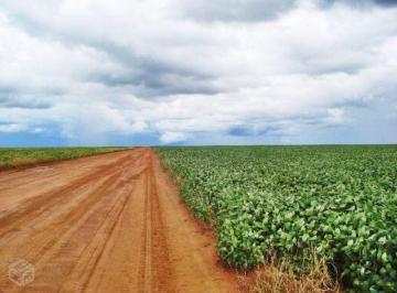Rural de 5 quartos, Nova Ubiratã · Adquira a Faz dos Seus Sonhos: 49.937 hás Pronta para Alta Produção e Lucro! MT
