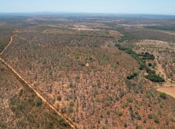 Foto 01 · Venda de Fazenda em Morro da Garça - 271,11 Hectares, Pastagem, Casa, Curral e Lagoa | R$4.000.000