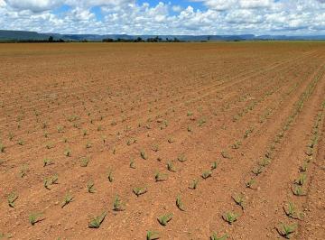 Rural de 4 quartos, Brasília · VENDO EXCELENTE FAZENDA COM 9.600 HECTARES - OU 199 ALQUEIRES!!