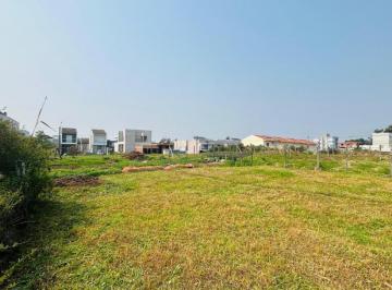 32490663_g.jpg ·
Terreno à venda em São Virgílio, Caxias do Sul - Loteamento Terra N