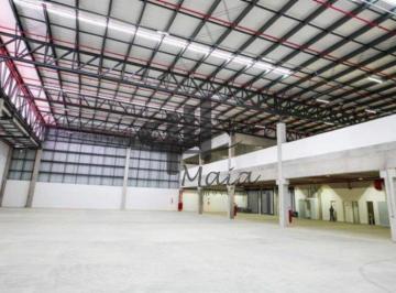 Comercial · 22500m² · Locação Galpão Sao Paulo Centro Ref: 42121