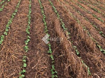 0 · FAZENDA A VENDA NA REGIÃO DE ITAPETININGA-SP