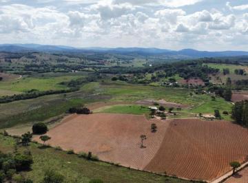 Foto 14 · FAZENDA DE CINEMA 44 HECTARES 100% PLANA, C/ TERRA DE CULTURA E ÁGUA CORRENTE À VENDA EM PIRACEMA/MG